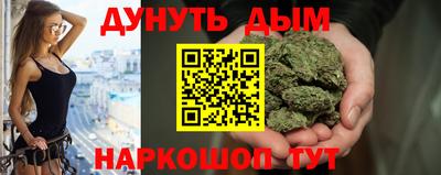 амф Гатчина