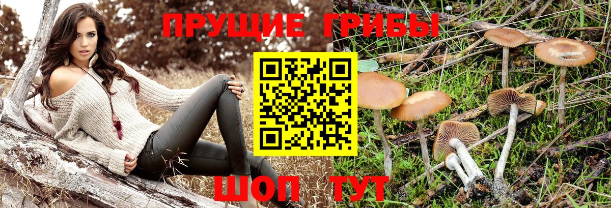 Галлюциногенные грибы мухоморы  Вход с VPN  Сальск  Галлюциногенные грибы Magic Shrooms 